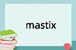 mastix是什么意思