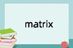 matrix是什么意思