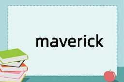 maverick是什么意思