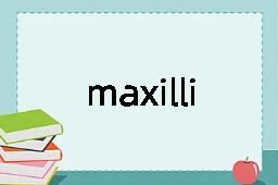 maxilliped是什么意思