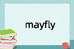 mayfly是什么意思