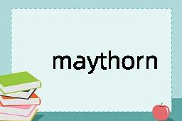 maythorn是什么意思