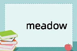 meadow是什么意思