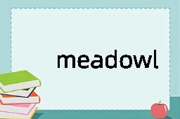 meadowland是什么意思