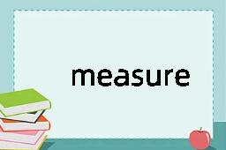 measure是什么意思