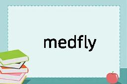 medfly是什么意思