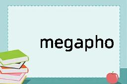 megaphone是什么意思