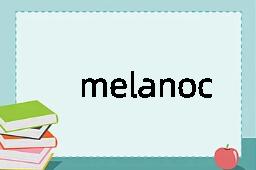 melanocarcinoma是什么意思