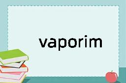 vaporimeter是什么意思