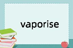 vaporise是什么意思