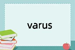 varus是什么意思