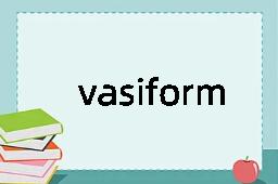 vasiform是什么意思