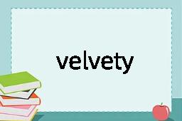 velvety是什么意思