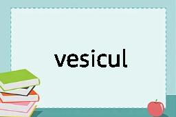 vesicular是什么意思