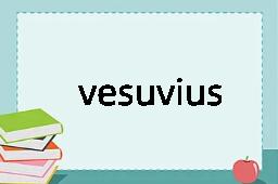 vesuvius是什么意思