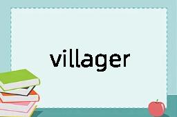 villager是什么意思