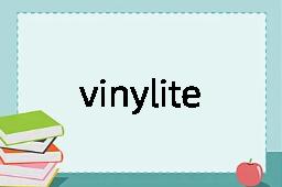 vinylite是什么意思