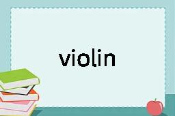 violin是什么意思