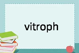 vitrophyre是什么意思