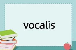 vocalisation是什么意思