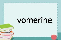 vomerine是什么意思