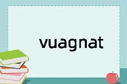 vuagnatite是什么意思