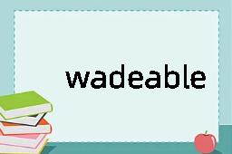 wadeable是什么意思