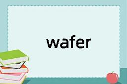 wafer是什么意思