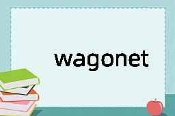 wagonette是什么意思