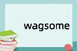 wagsome是什么意思