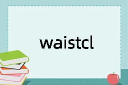 waistcloth是什么意思