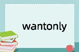 wantonly是什么意思