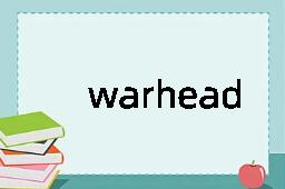 warhead是什么意思