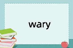 wary是什么意思