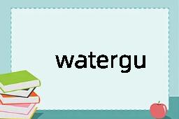 waterguard是什么意思