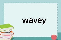 wavey是什么意思