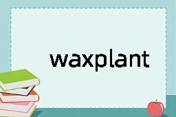 waxplant是什么意思