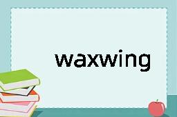 waxwing是什么意思