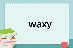 waxy是什么意思