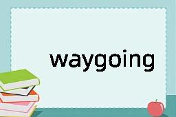 waygoing是什么意思