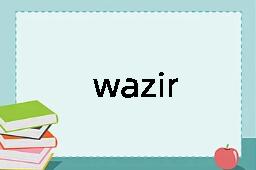 wazir是什么意思