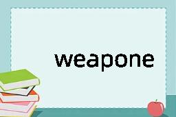 weaponeer是什么意思