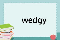 wedgy是什么意思