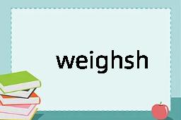 weighshaft是什么意思