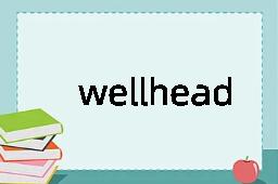 wellhead是什么意思