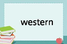 western是什么意思