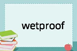 wetproof是什么意思