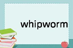 whipworm是什么意思