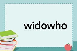 widowhood是什么意思