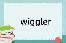 wiggler是什么意思